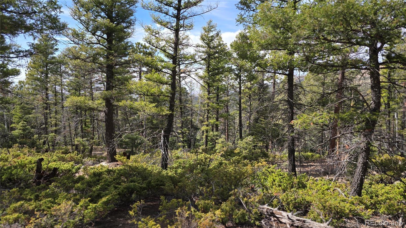 Lot 6070 Vreeland Road San Luis CO 81152
