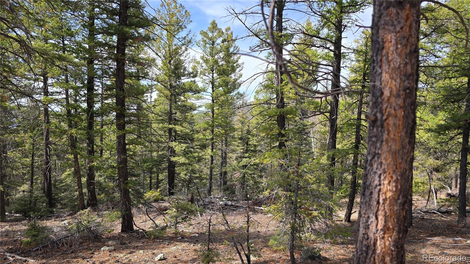 Lot 6070 Vreeland Road San Luis CO 81152