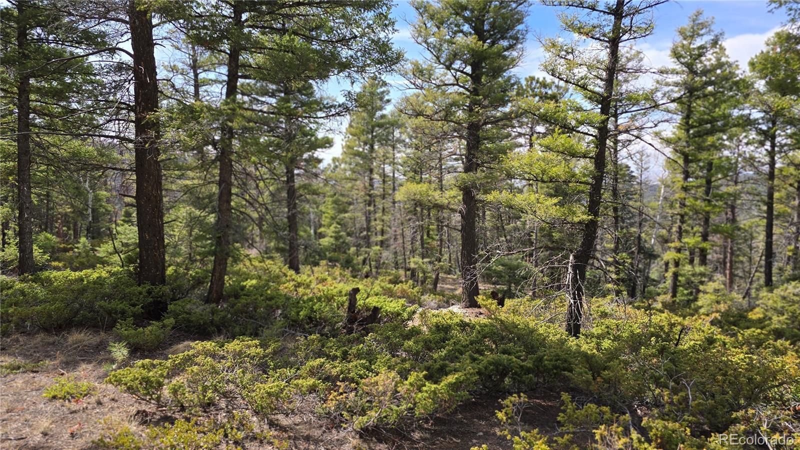 Lot 6070 Vreeland Road San Luis CO 81152