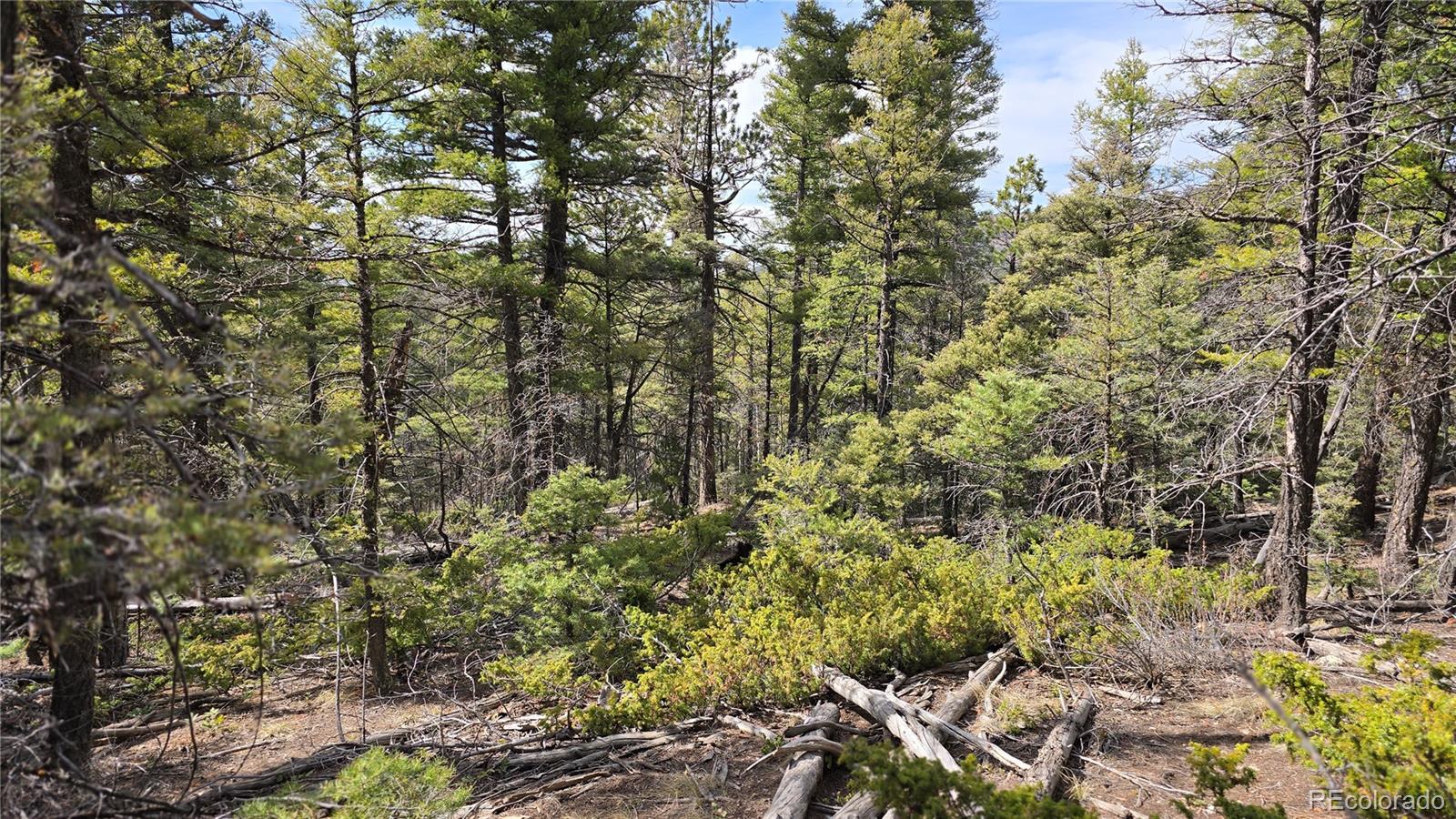 Lot 6070 Vreeland Road San Luis CO 81152