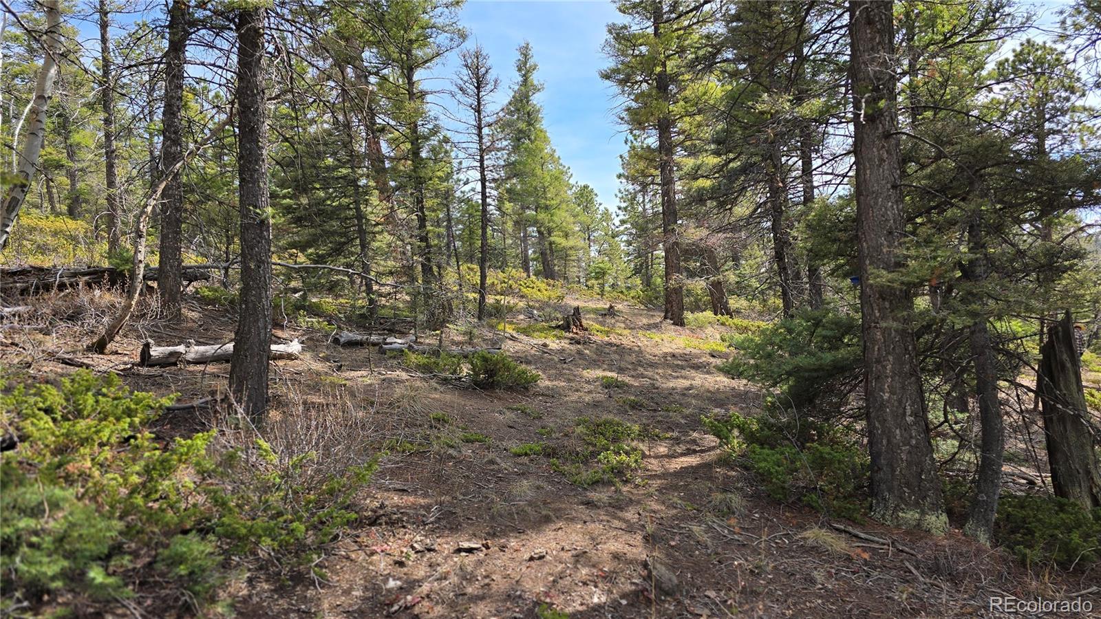Lot 6070 Vreeland Road San Luis CO 81152