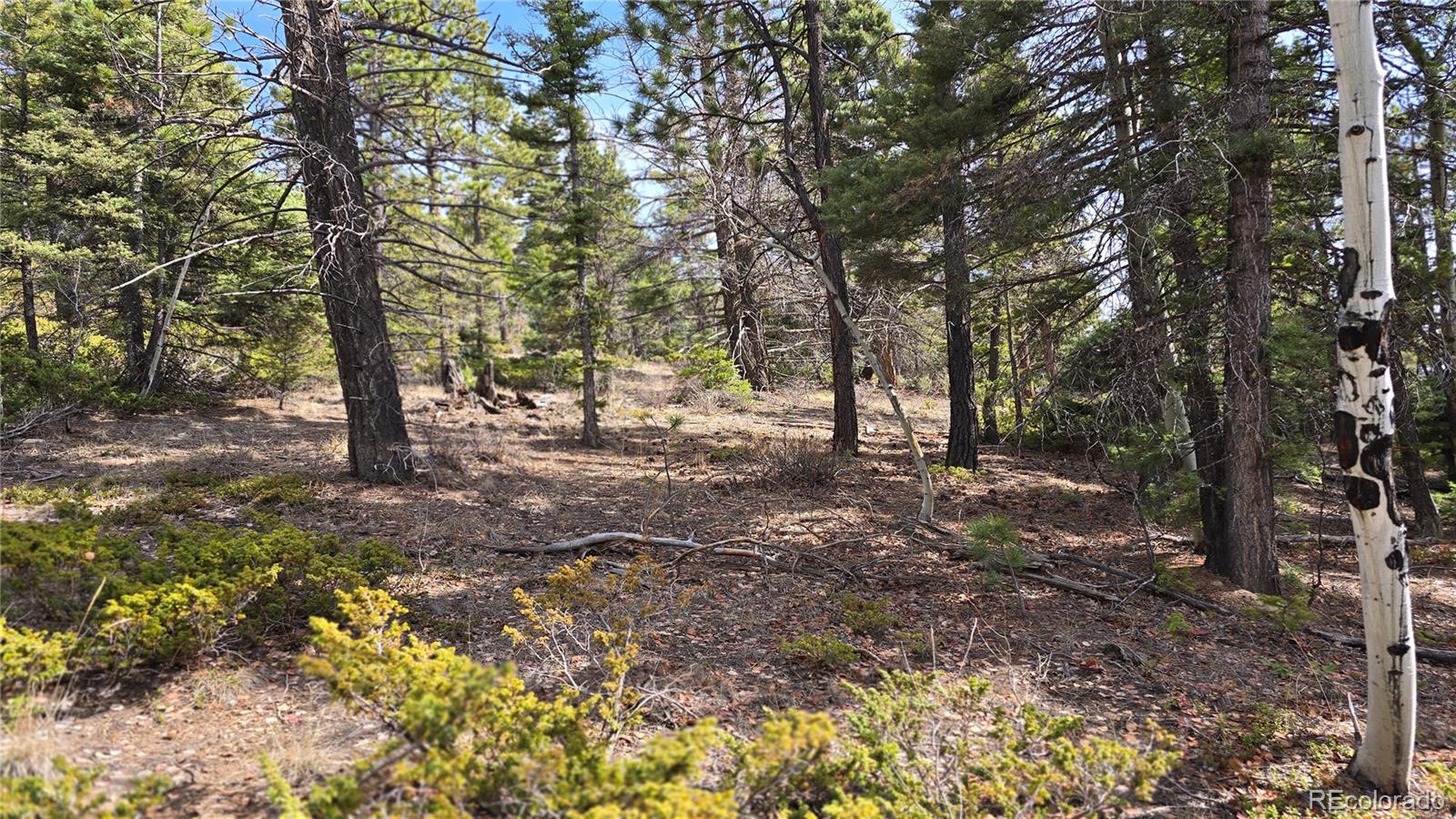 Lot 6070 Vreeland Road San Luis CO 81152