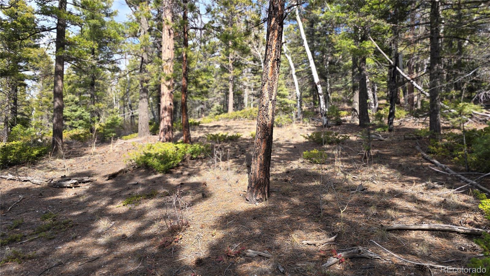 Lot 6070 Vreeland Road San Luis CO 81152