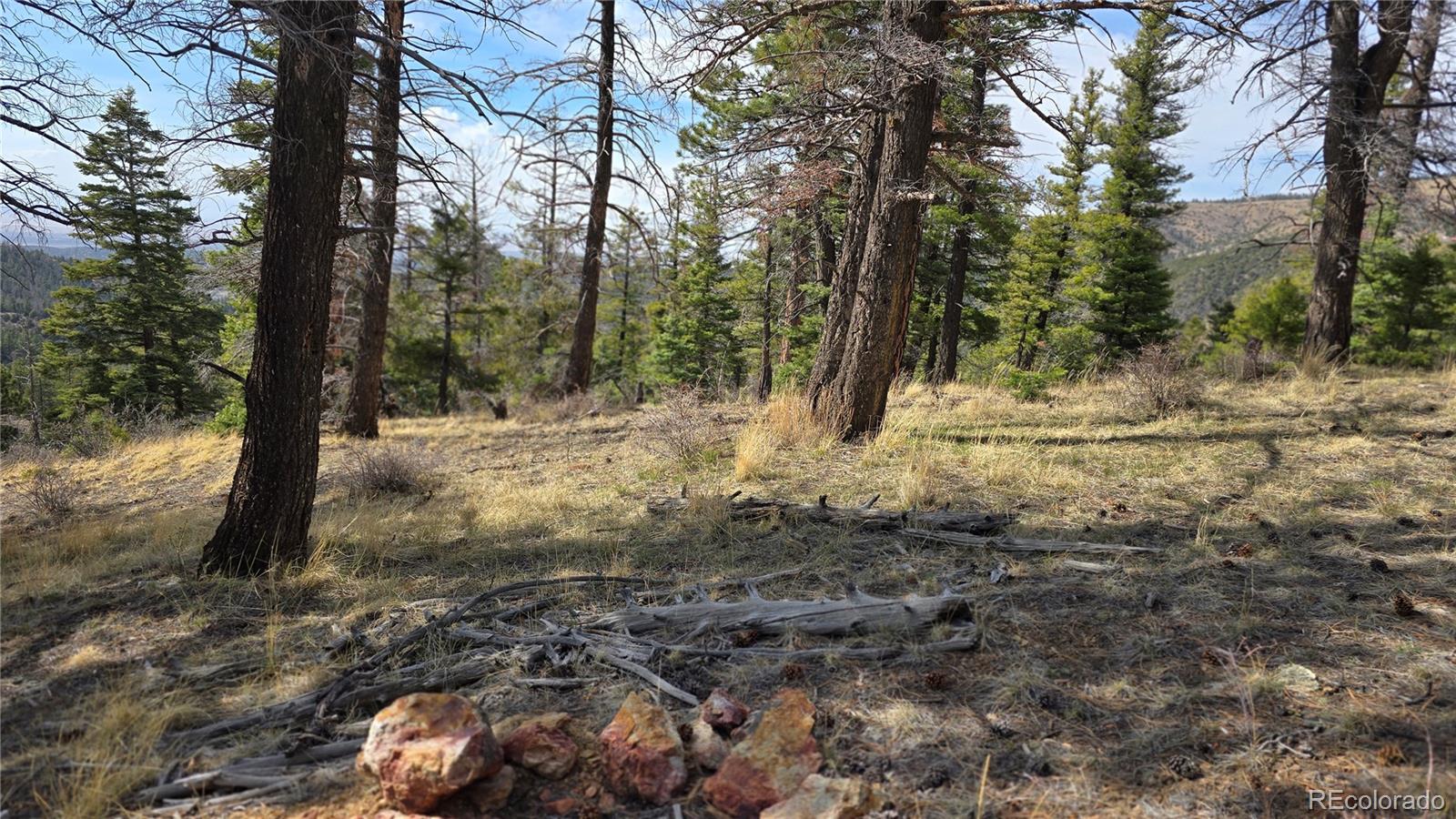 Lot 6070 Vreeland Road San Luis CO 81152