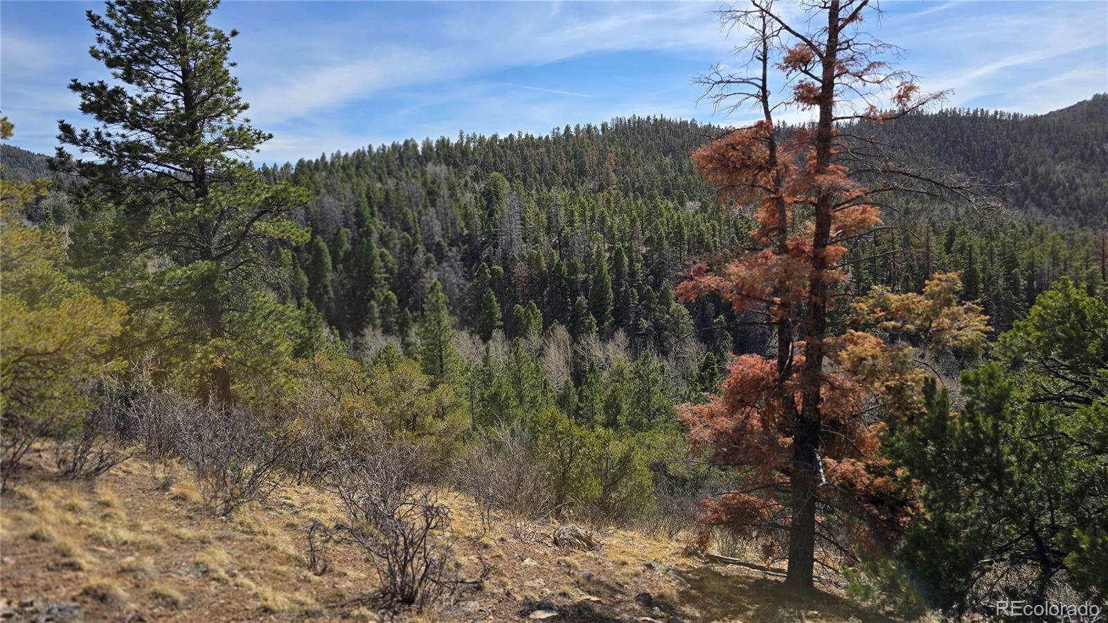 Lot 6070 Vreeland Road San Luis CO 81152