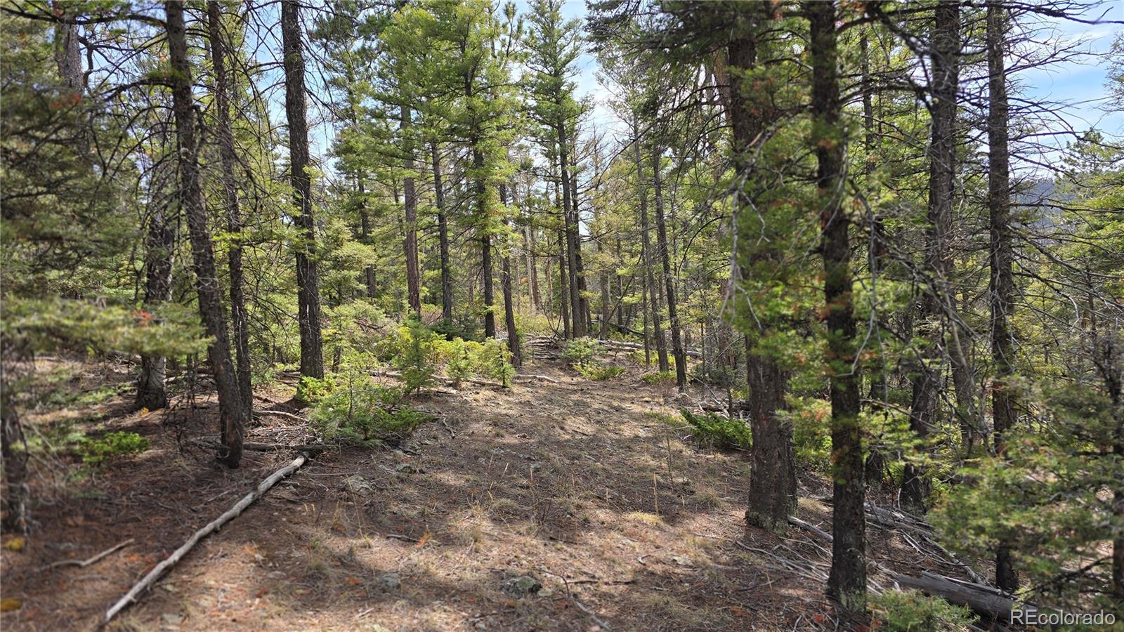 Lot 6070 Vreeland Road San Luis CO 81152