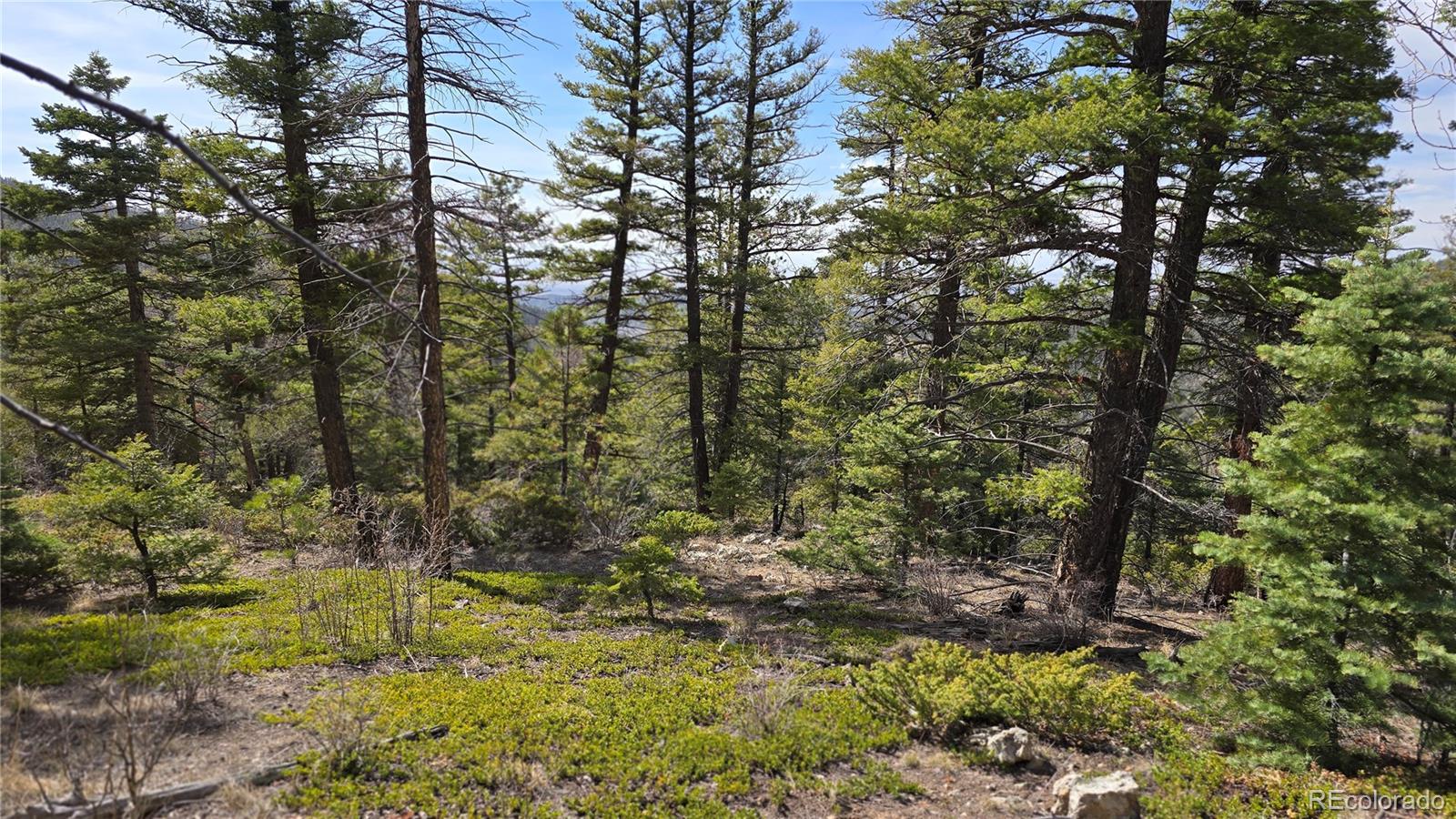 Lot 6070 Vreeland Road San Luis CO 81152