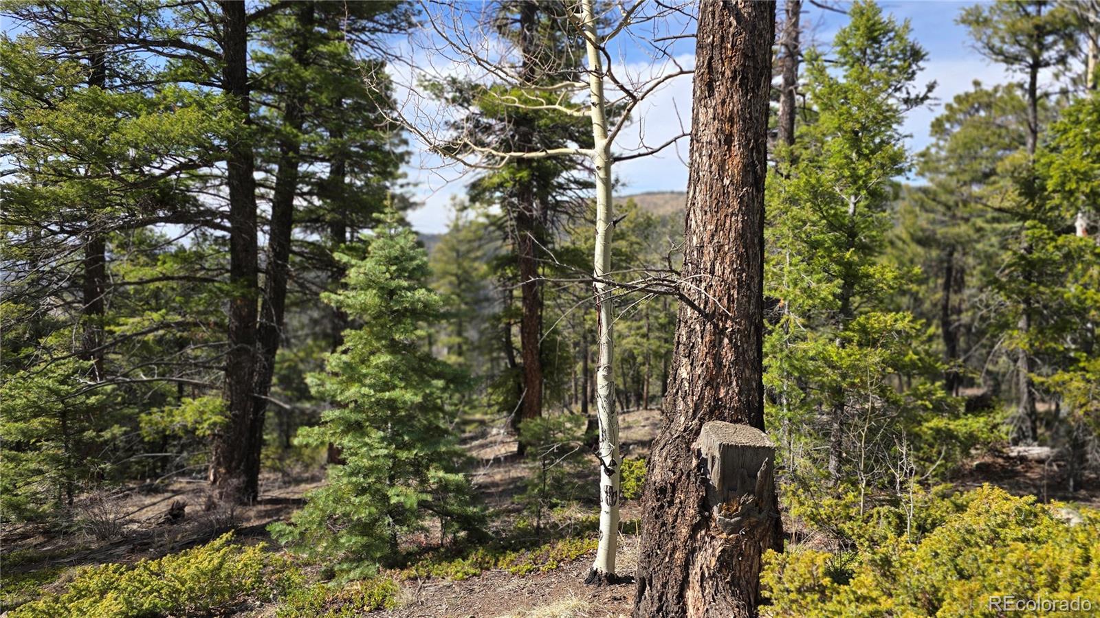 Lot 6070 Vreeland Road San Luis CO 81152