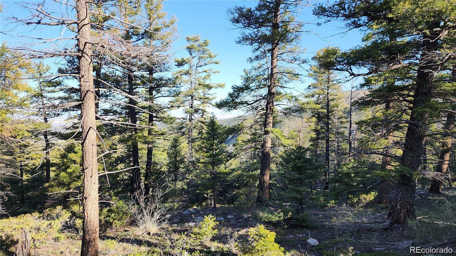 Lot 6070 Vreeland Road San Luis CO 81152