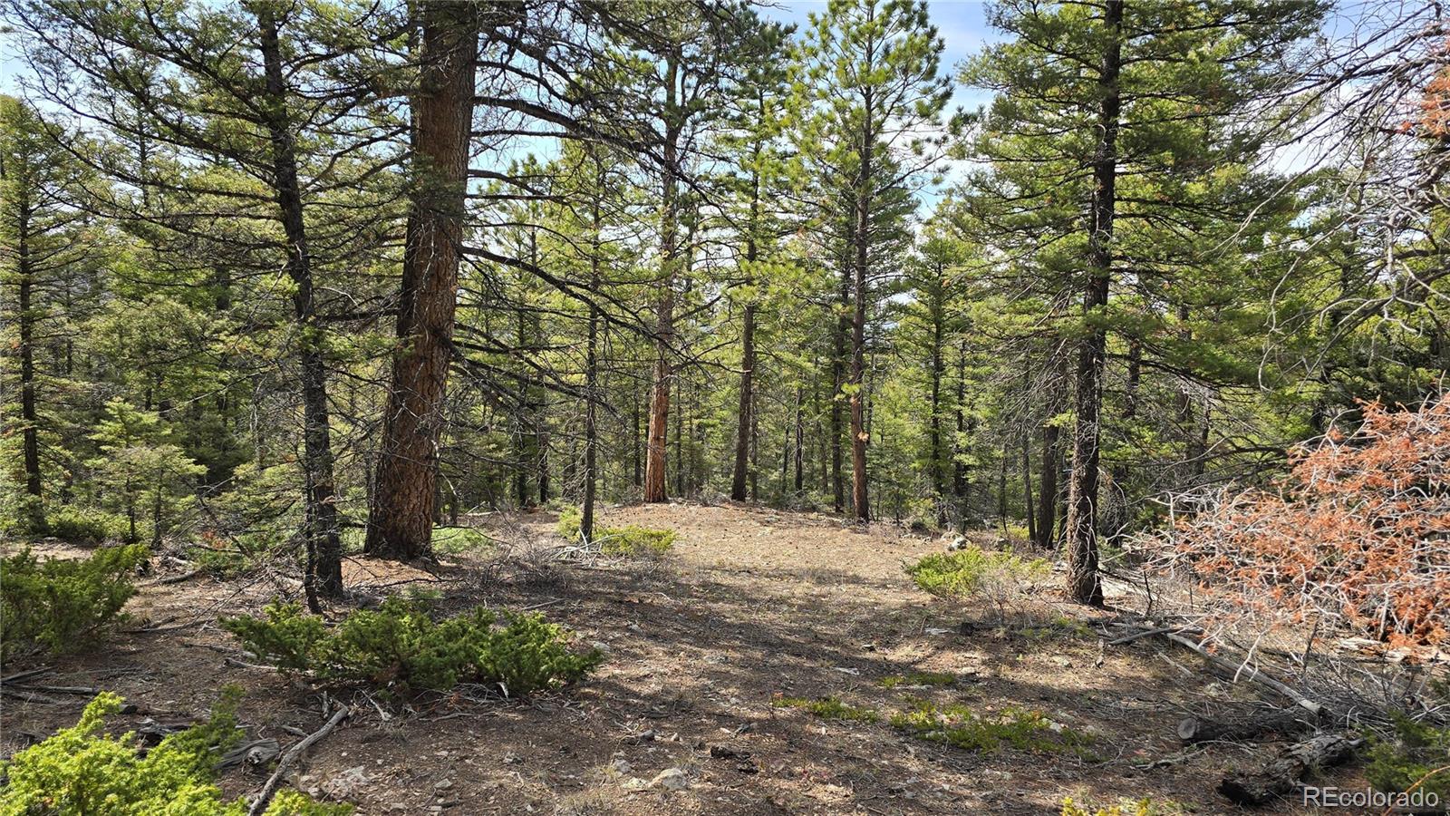 Lot 6070 Vreeland Road San Luis CO 81152
