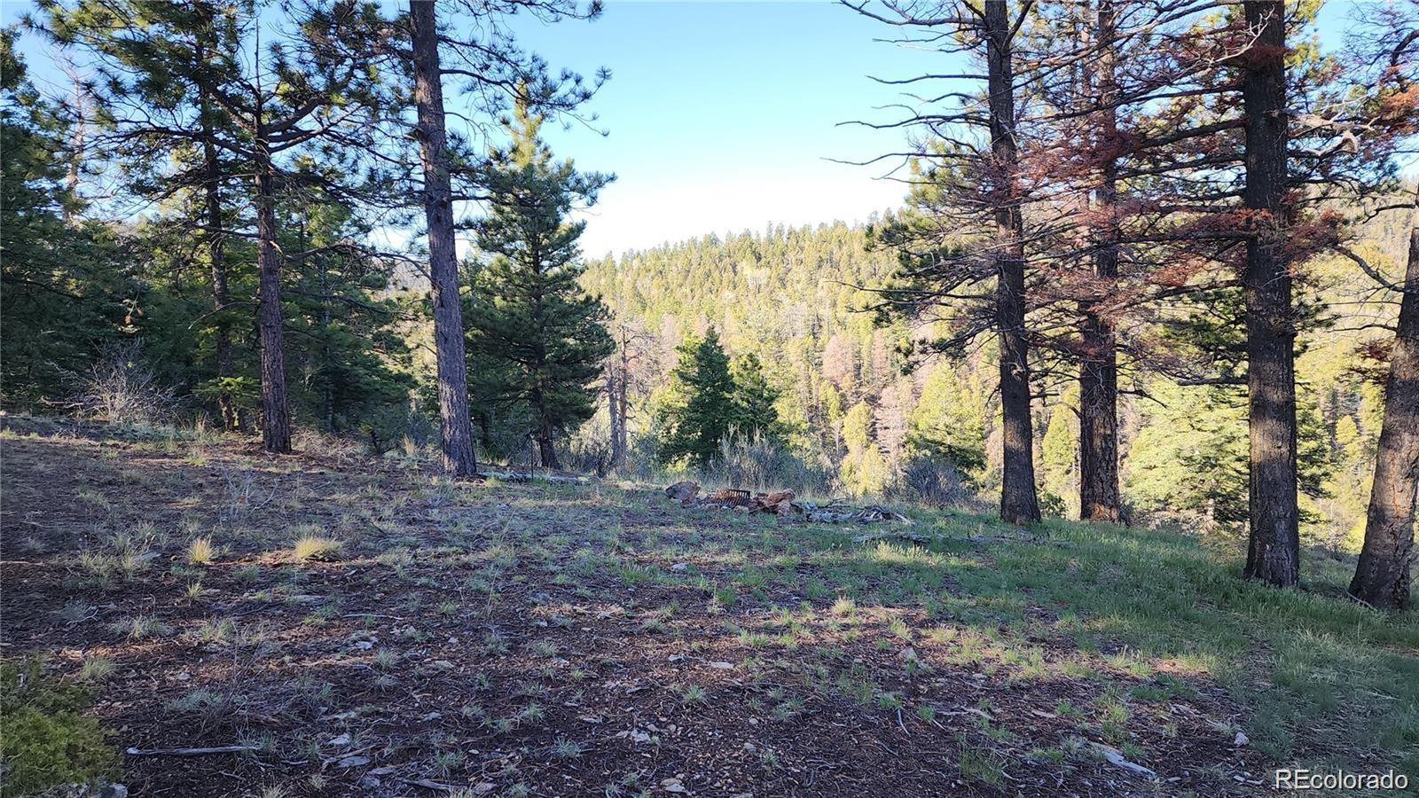 Lot 6070 Vreeland Road San Luis CO 81152