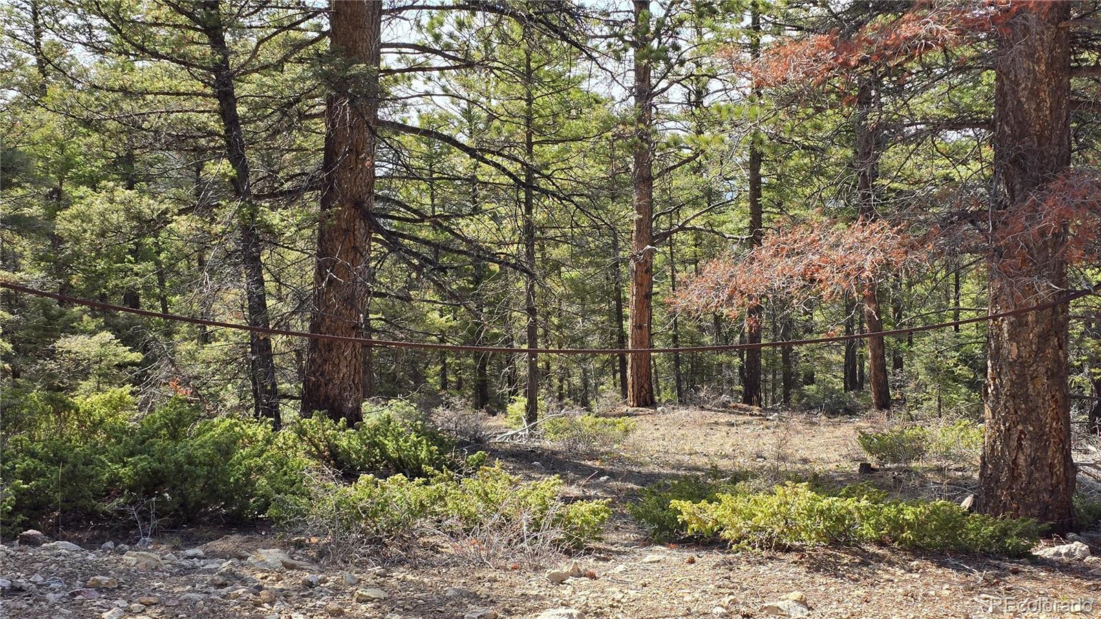 Lot 6070 Vreeland Road San Luis CO 81152