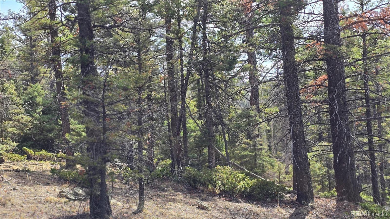 Lot 6070 Vreeland Road San Luis CO 81152