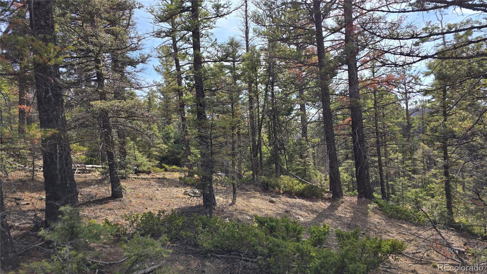 Lot 6070 Vreeland Road San Luis CO 81152