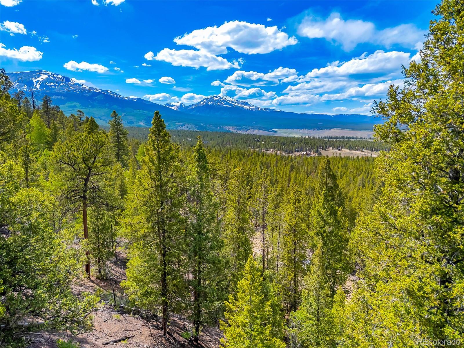 198 Mount Elbert Road Twin Lakes CO 81251