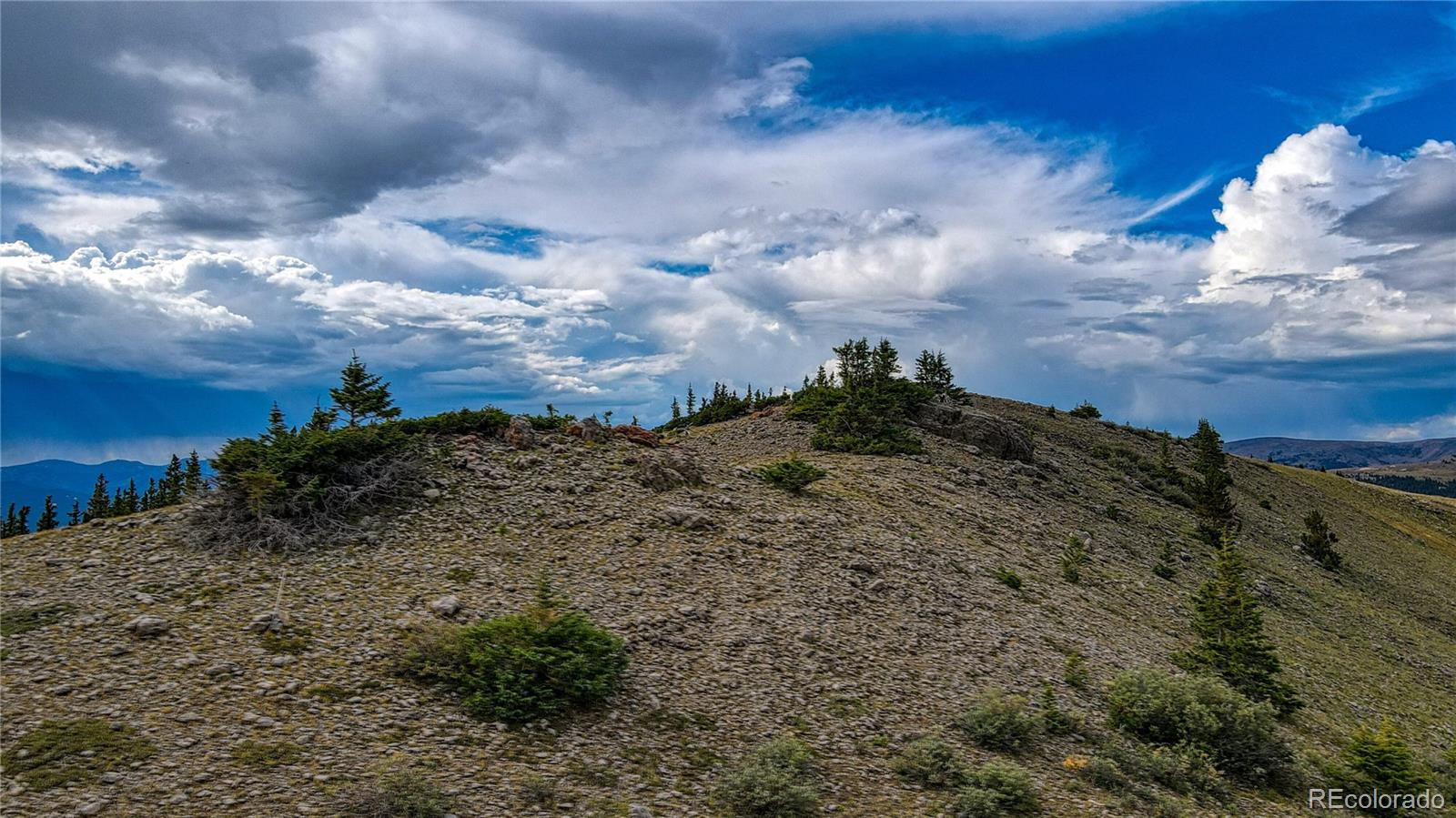 9551 Rose Group Leadville CO 80461