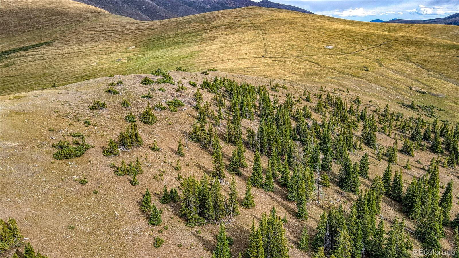 9551 Rose Group Leadville CO 80461