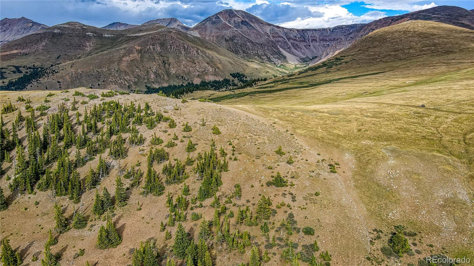 9551 Rose Group Leadville CO 80461