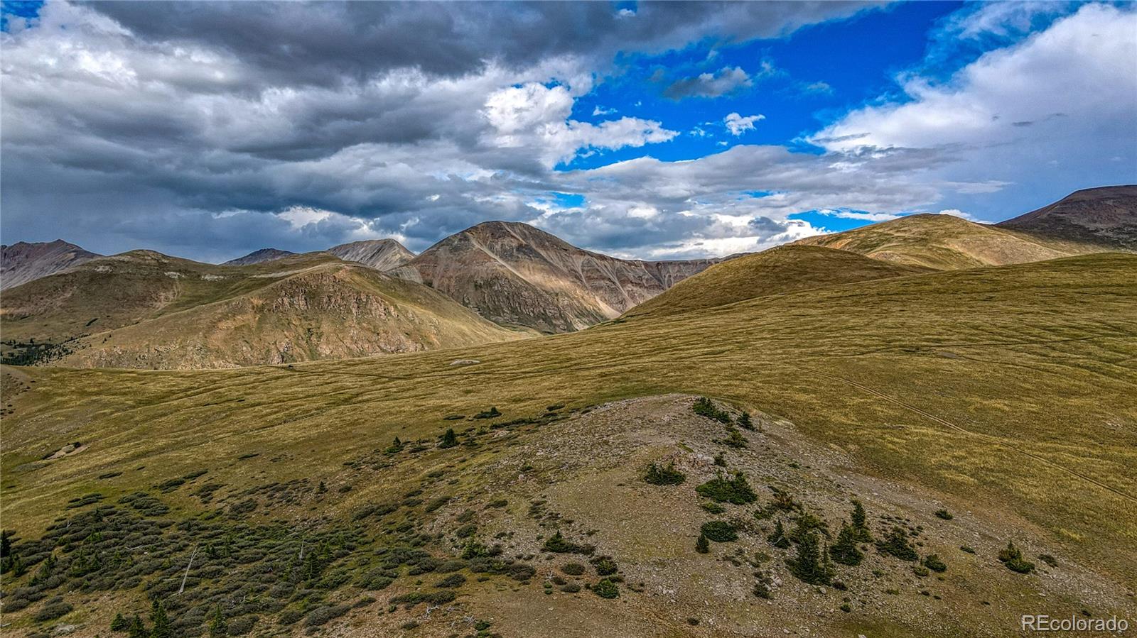 9551 Rose Group Leadville CO 80461