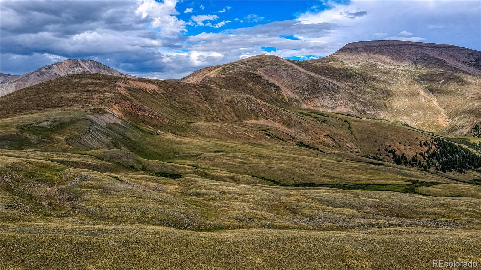 9551 Rose Group Leadville CO 80461