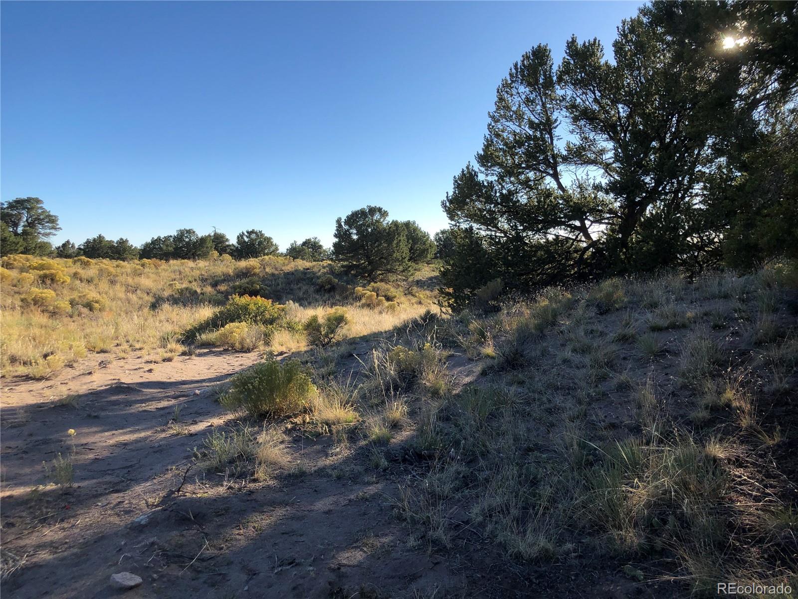 4480 Ridgecrest Way Crestone CO 81131