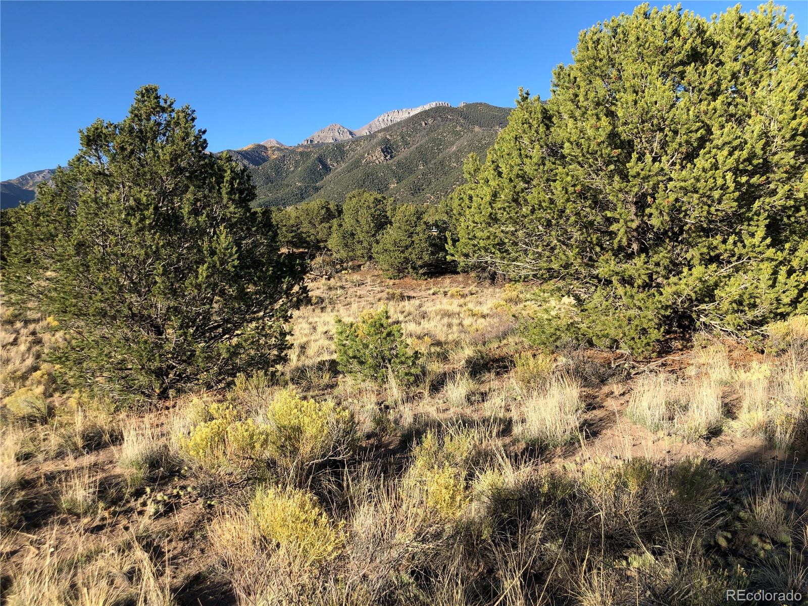 4480 Ridgecrest Way Crestone CO 81131