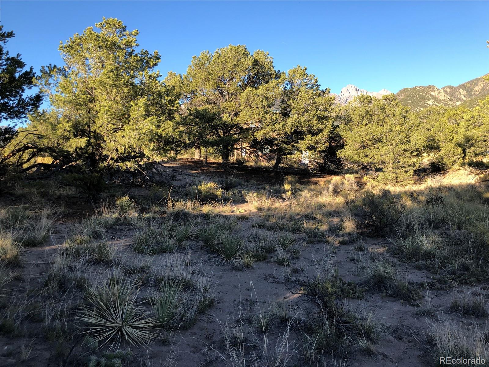 4480 Ridgecrest Way Crestone CO 81131