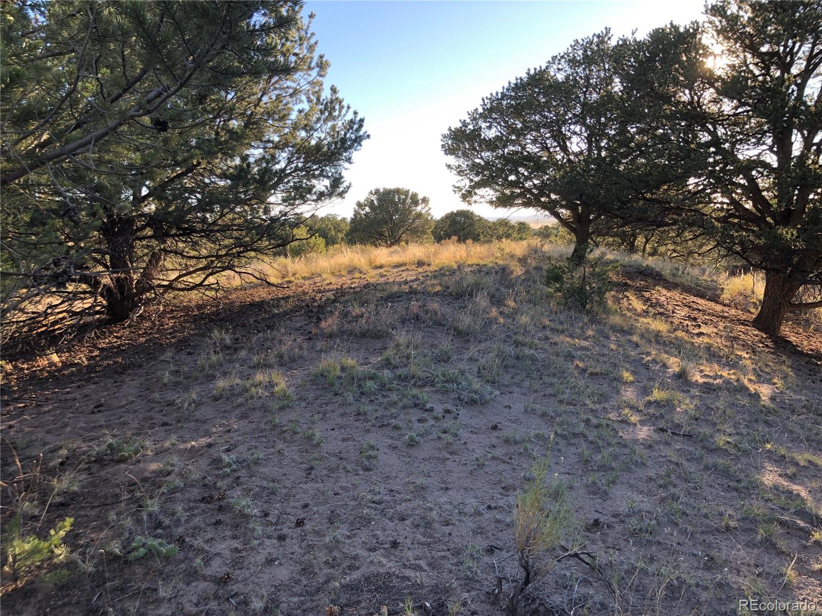 4480 Ridgecrest Way Crestone CO 81131