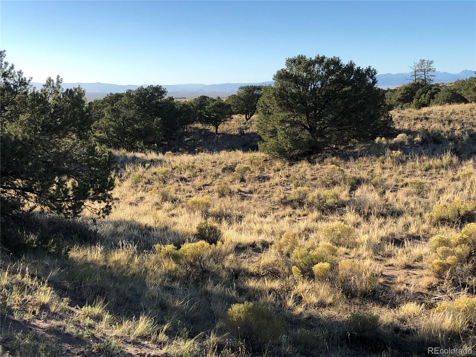 4480 Ridgecrest Way Crestone CO 81131
