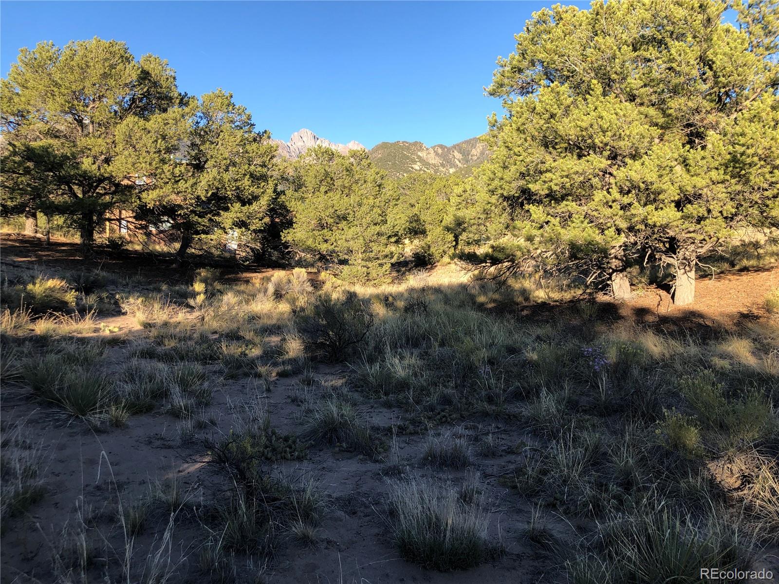 4480 Ridgecrest Way Crestone CO 81131