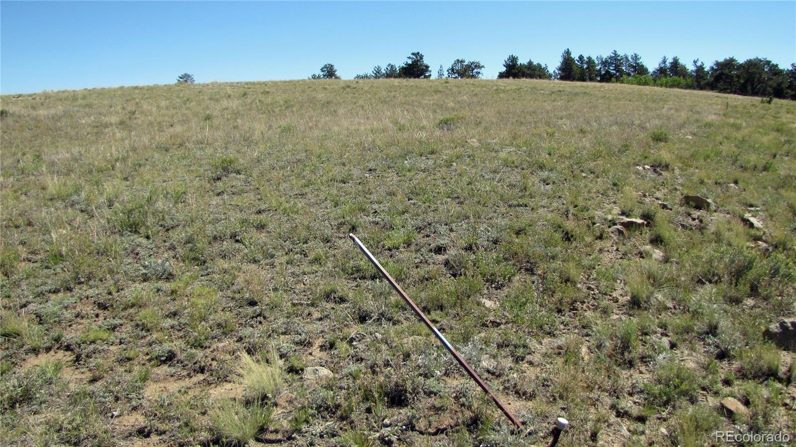 1198 Wagon Wheel Road Hartsel CO 80449
