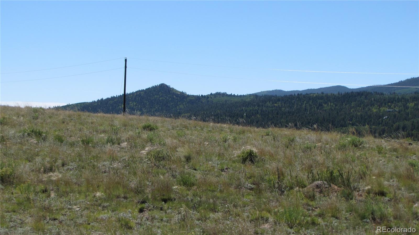 1198 Wagon Wheel Road Hartsel CO 80449