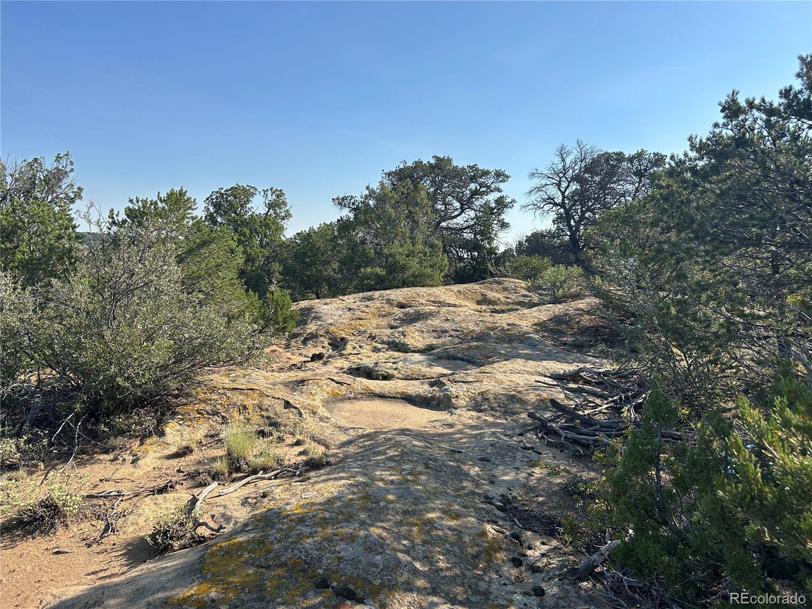 Lot 905 Rio Cucharas Phs 3 Walsenburg CO 81089