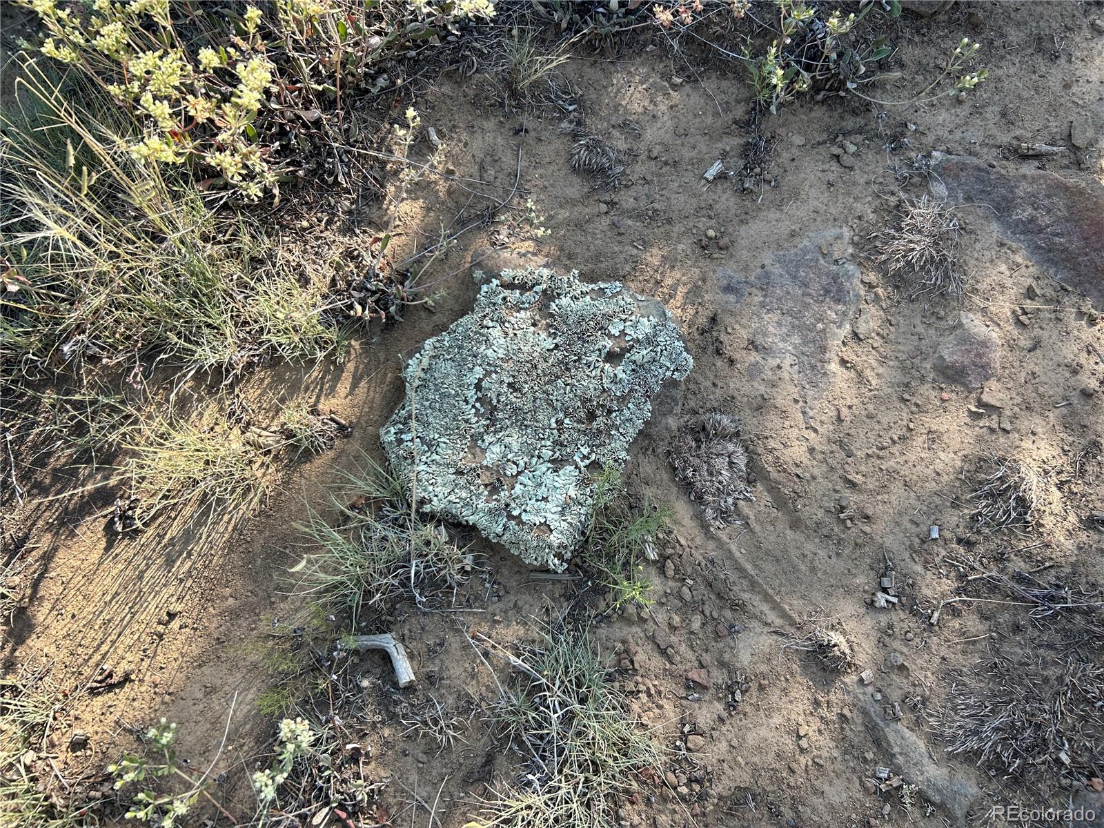 Lot 905 Rio Cucharas Phs 3 Walsenburg CO 81089