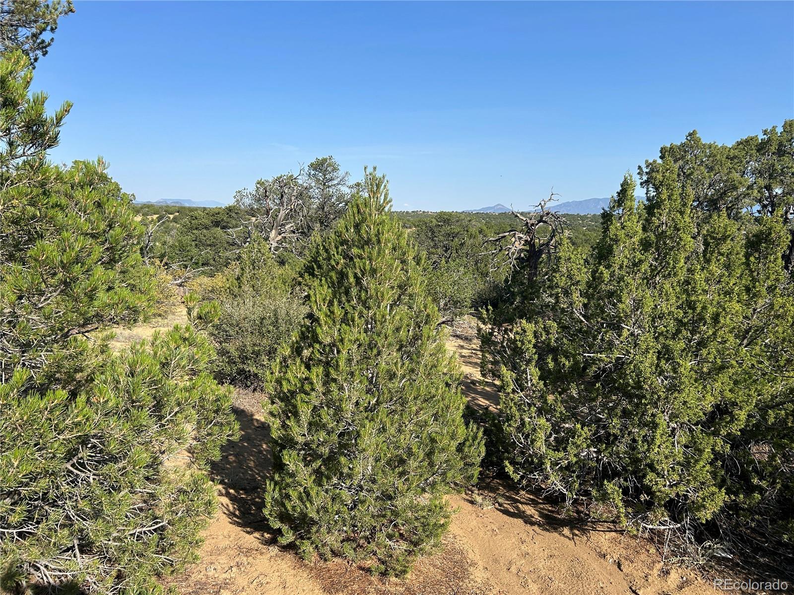 Lot 905 Rio Cucharas Phs 3 Walsenburg CO 81089