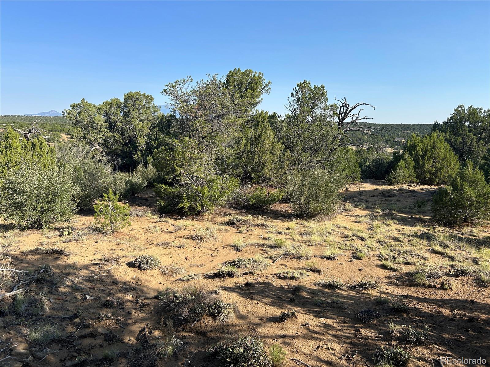 Lot 905 Rio Cucharas Phs 3 Walsenburg CO 81089