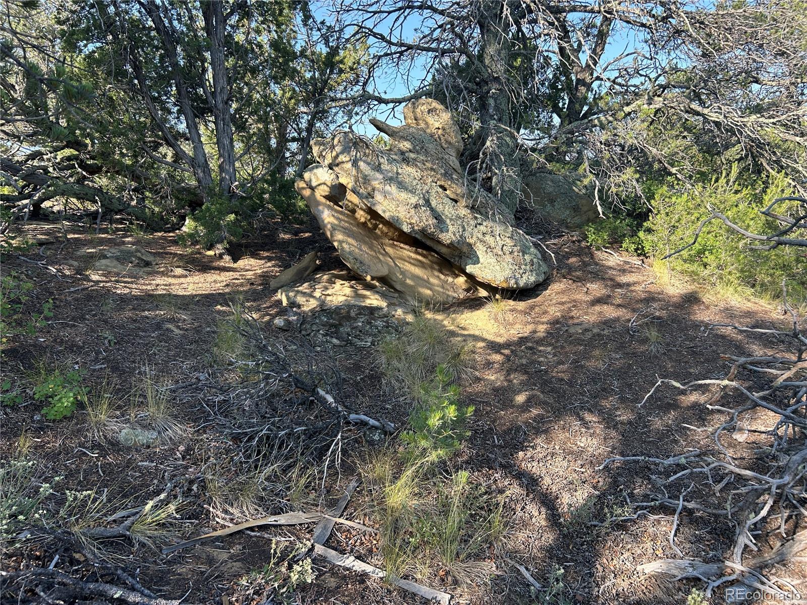 Lot 905 Rio Cucharas Phs 3 Walsenburg CO 81089