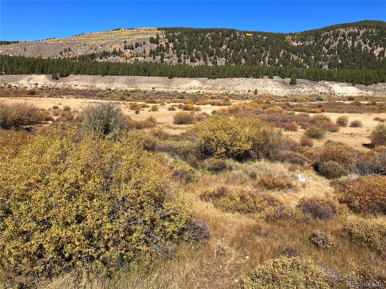 Leadville Land Leadville CO 80461