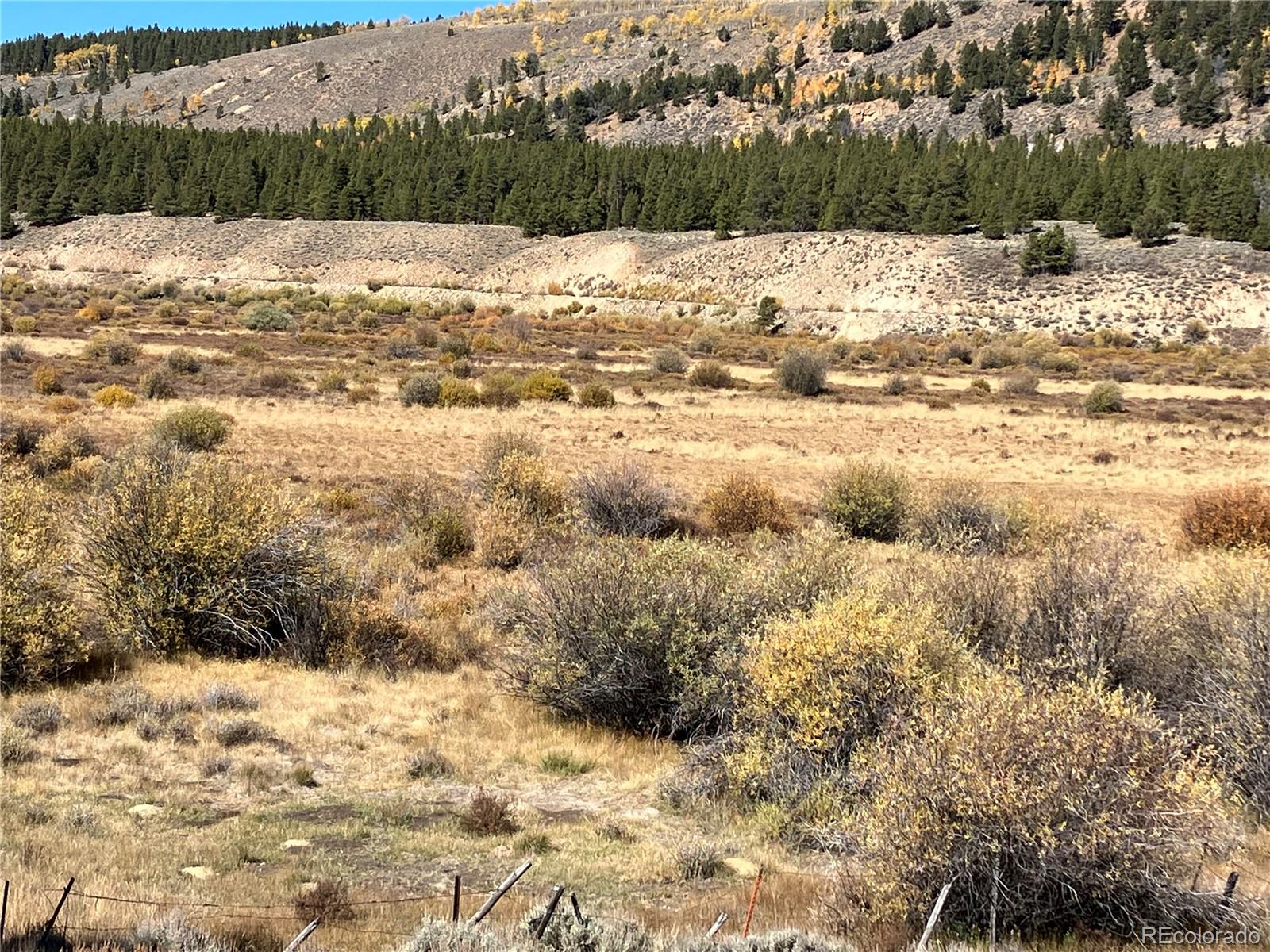 Leadville Land Leadville CO 80461