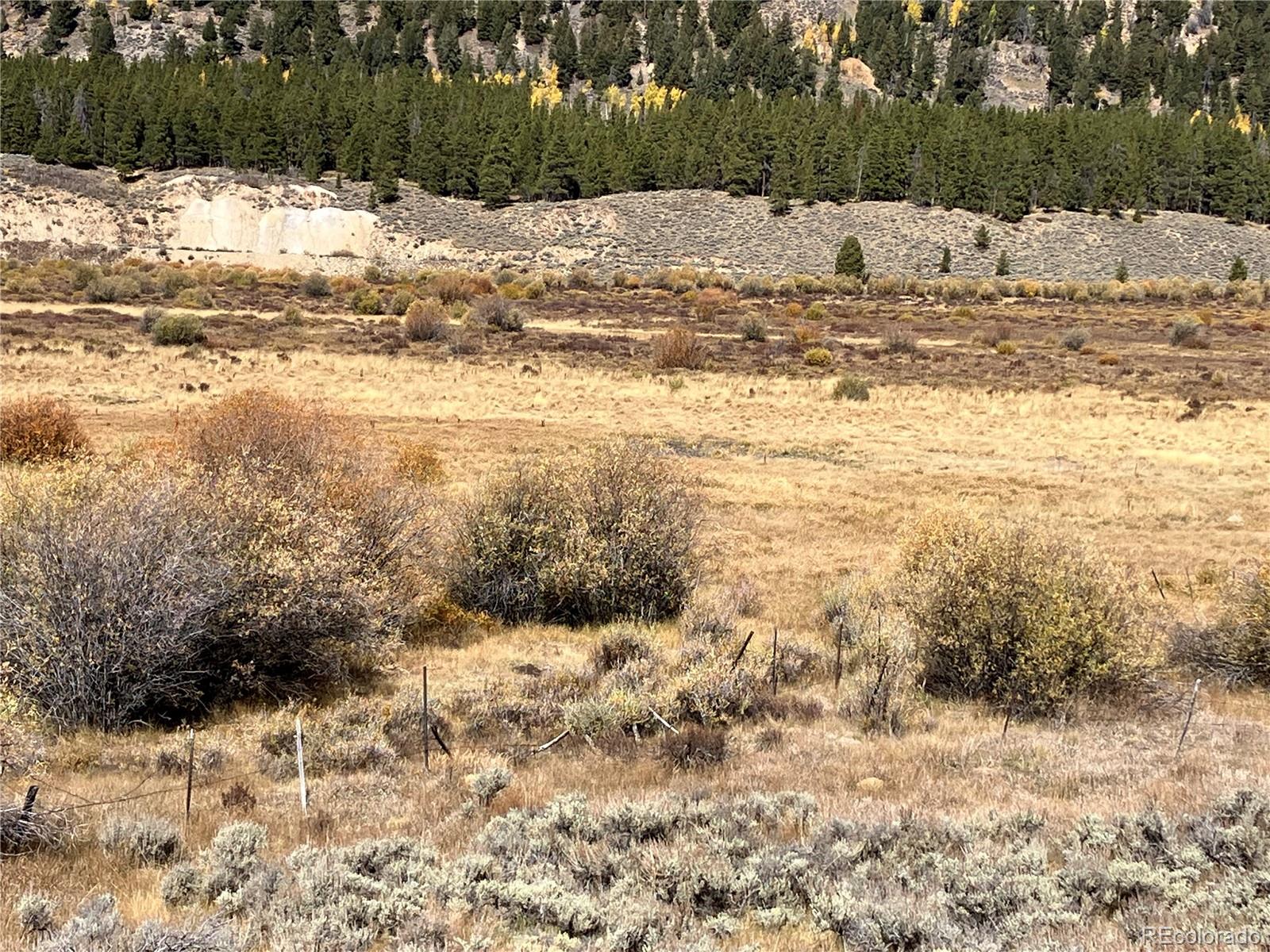 Leadville Land Leadville CO 80461