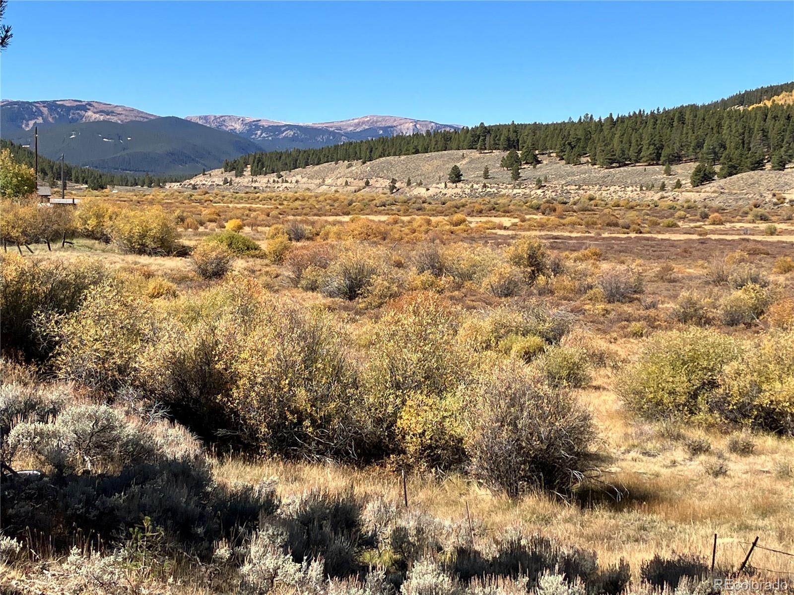 Leadville Land Leadville CO 80461