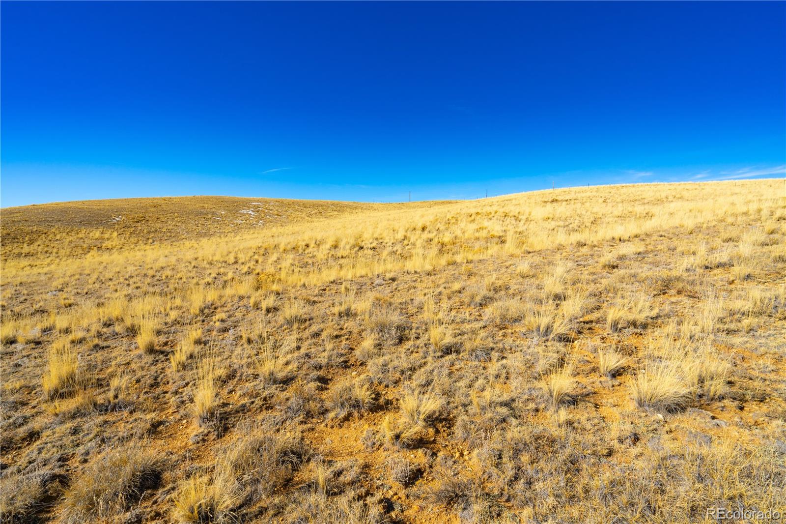 963 Rhyolite Drive Jefferson CO 80456
