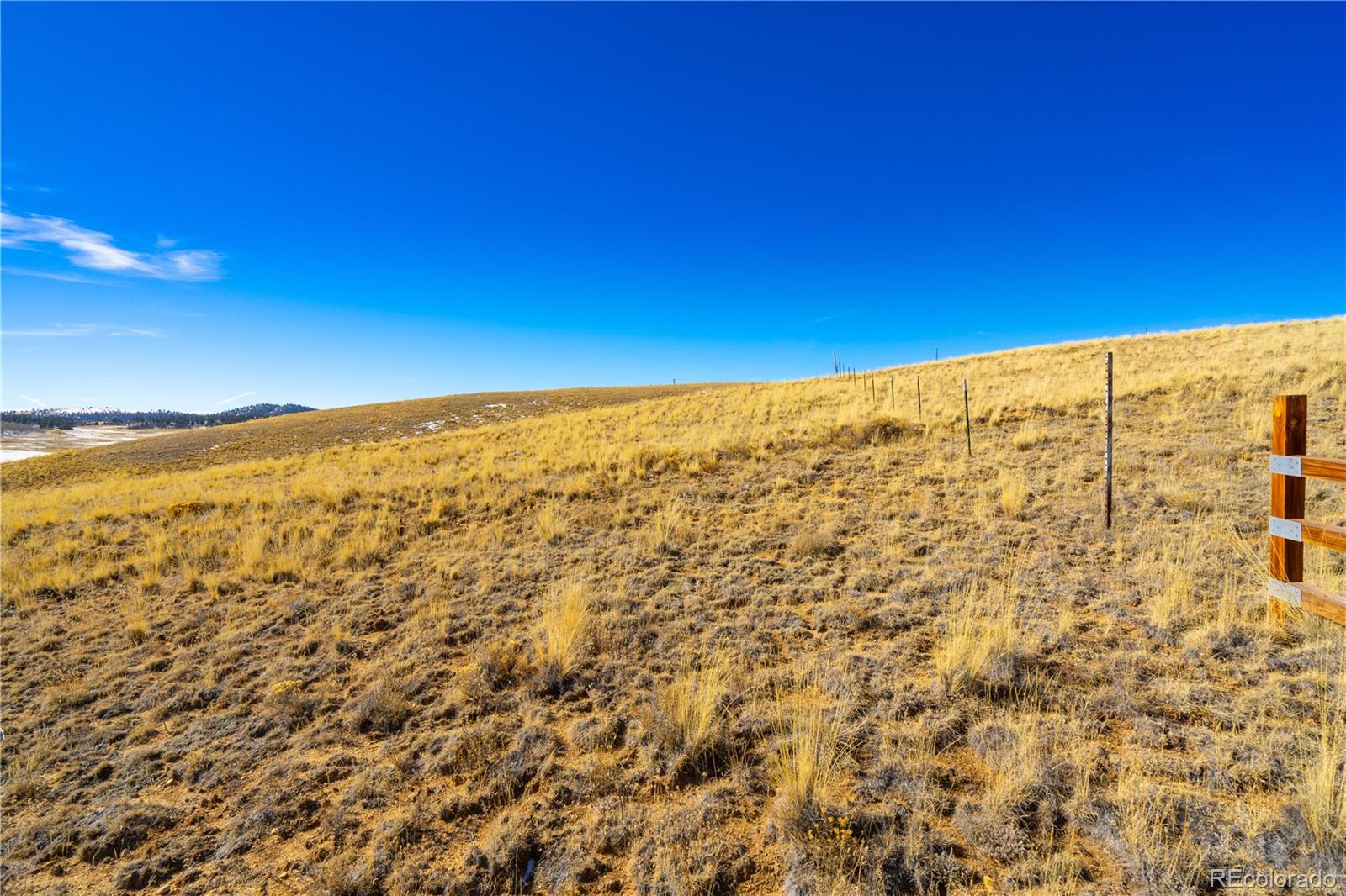 963 Rhyolite Drive Jefferson CO 80456