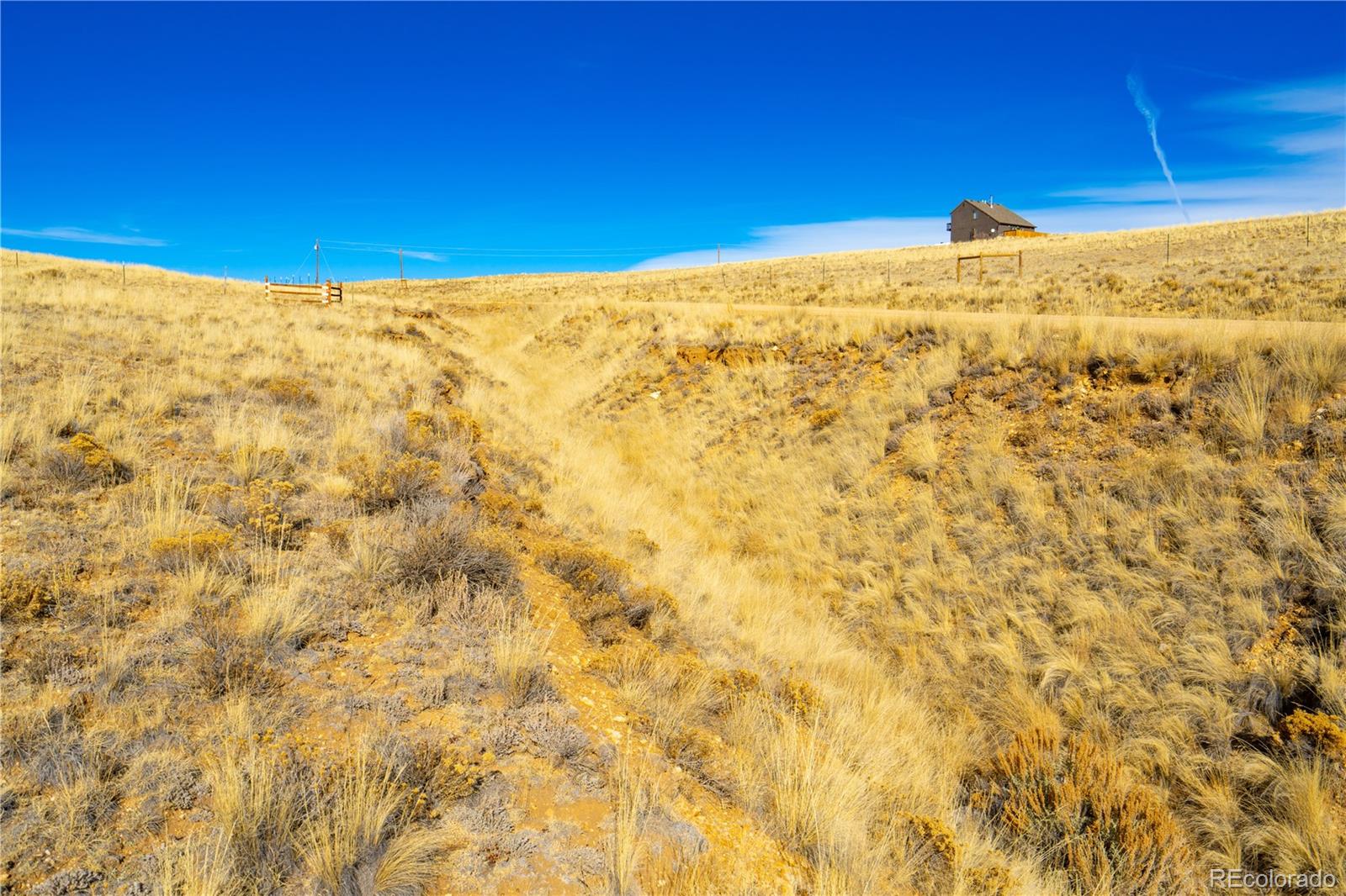 963 Rhyolite Drive Jefferson CO 80456