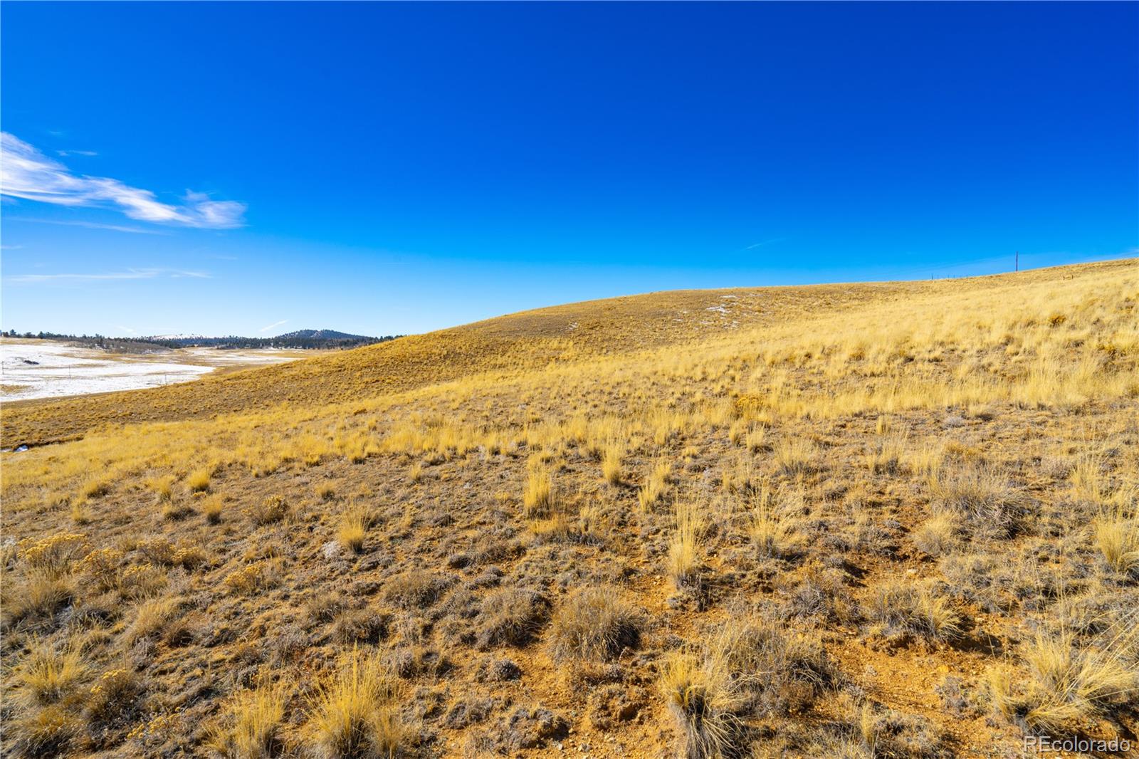963 Rhyolite Drive Jefferson CO 80456