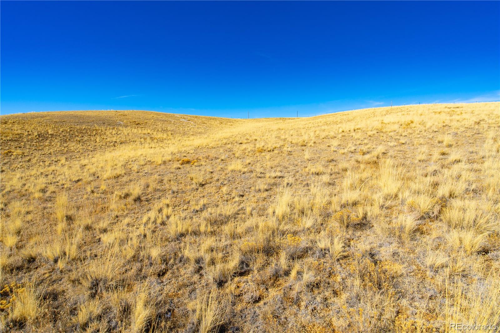 963 Rhyolite Drive Jefferson CO 80456