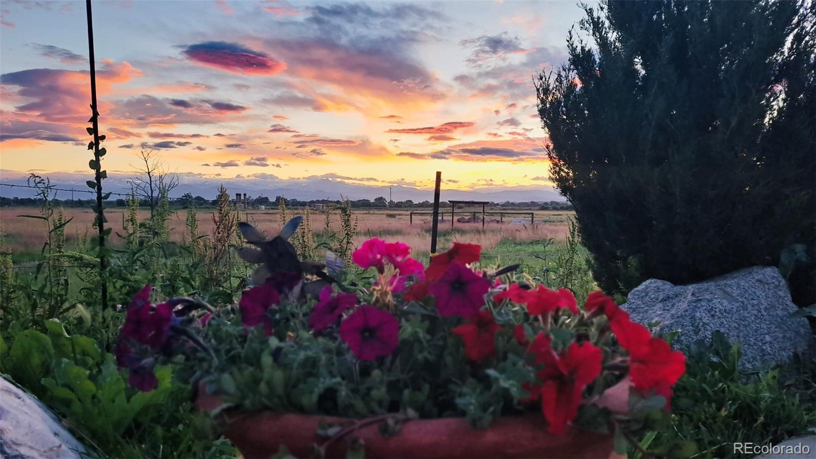 2832 County Road 20 Longmont CO 80504