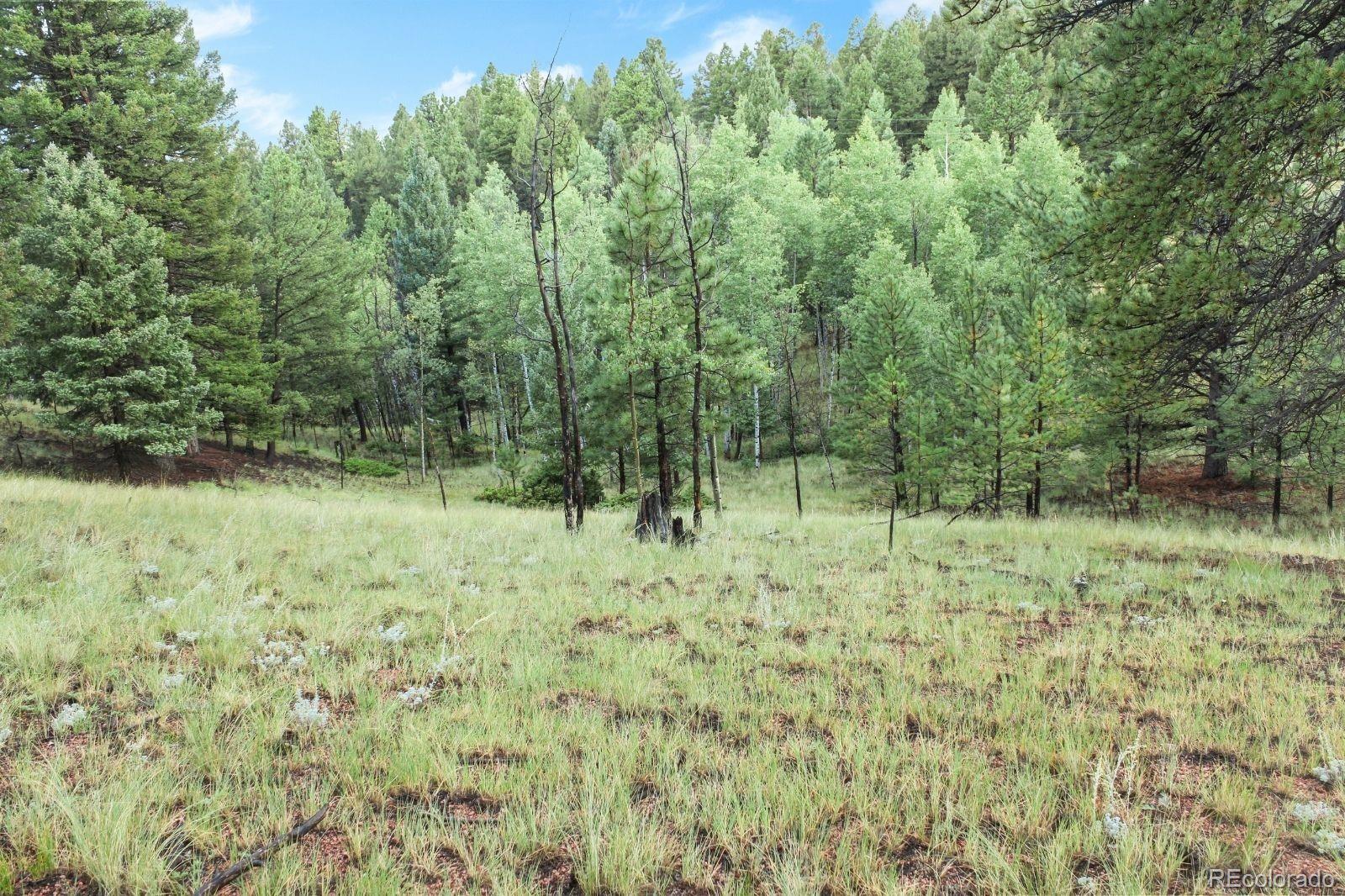 131 Lost Lake Circle Divide CO 80814