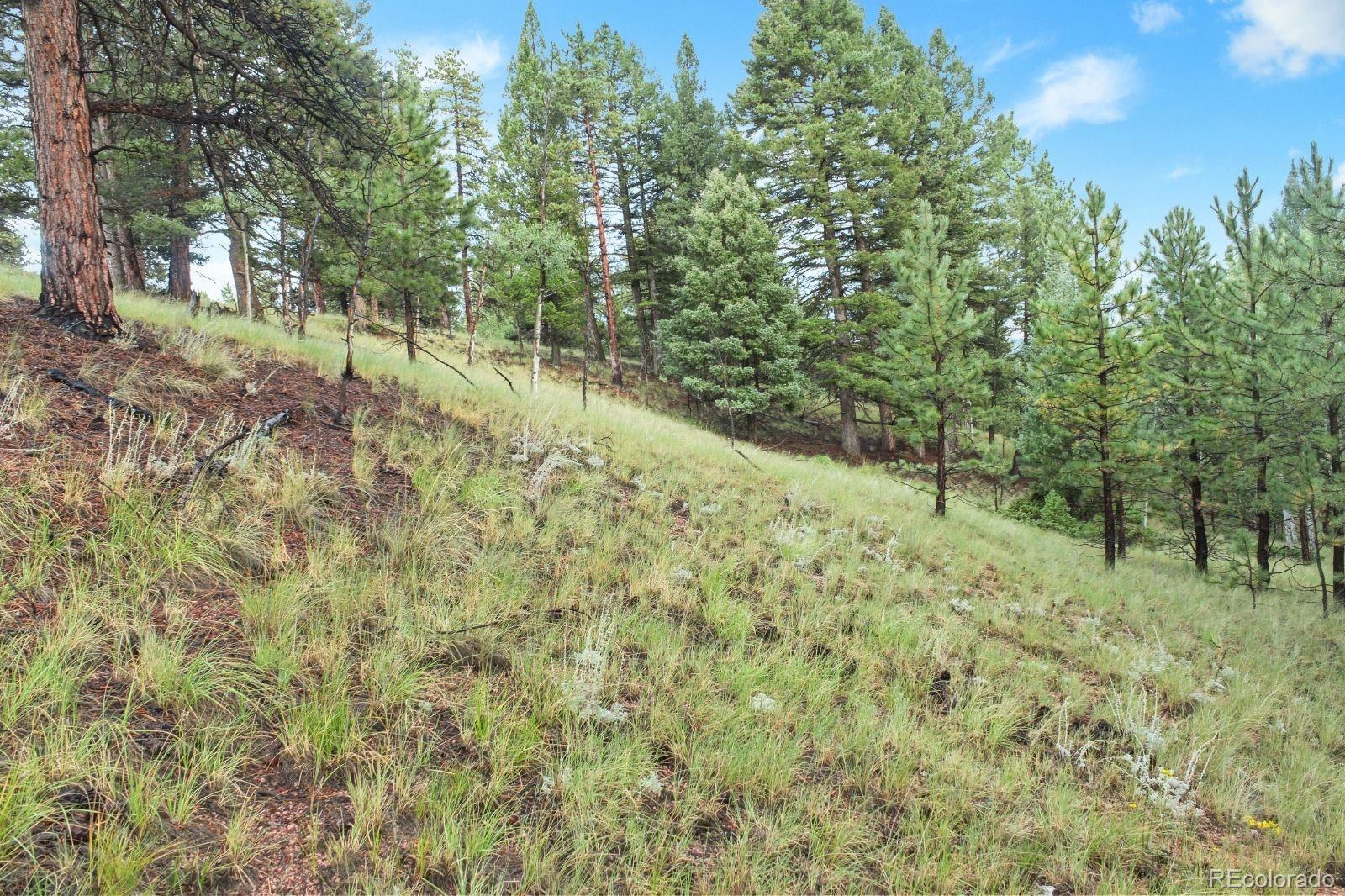 131 Lost Lake Circle Divide CO 80814