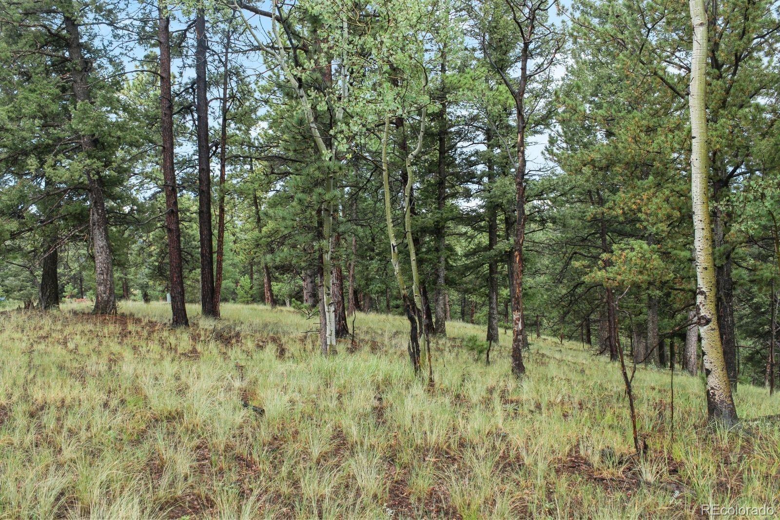 131 Lost Lake Circle Divide CO 80814